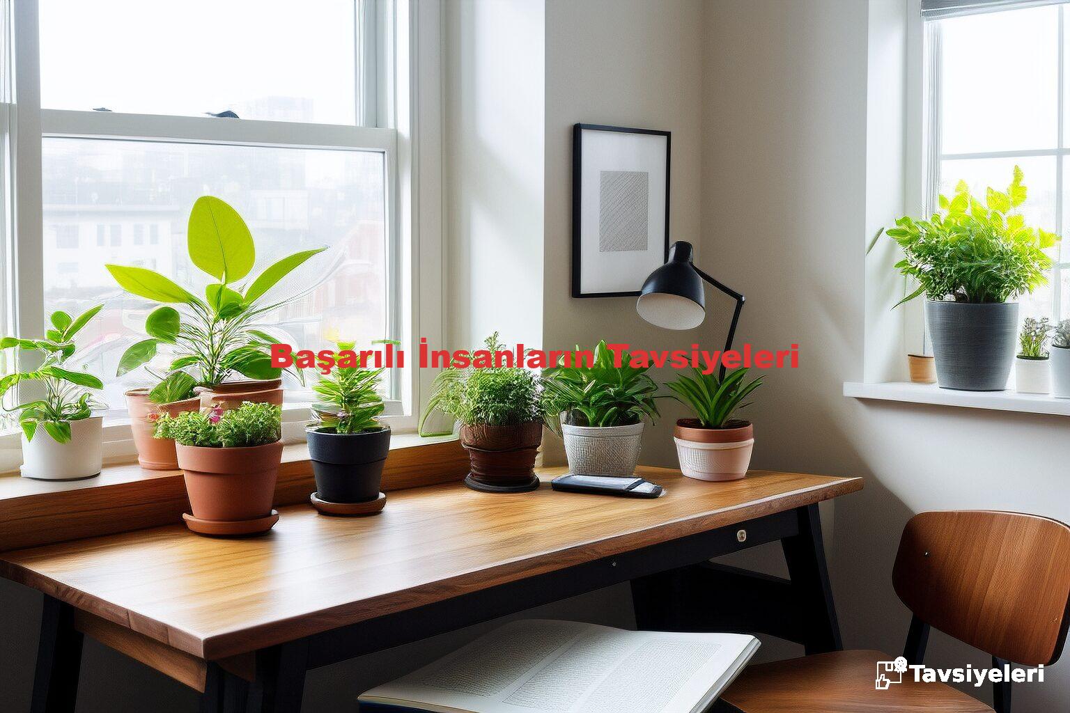 Başarılı İnsanların Tavsiyeleri