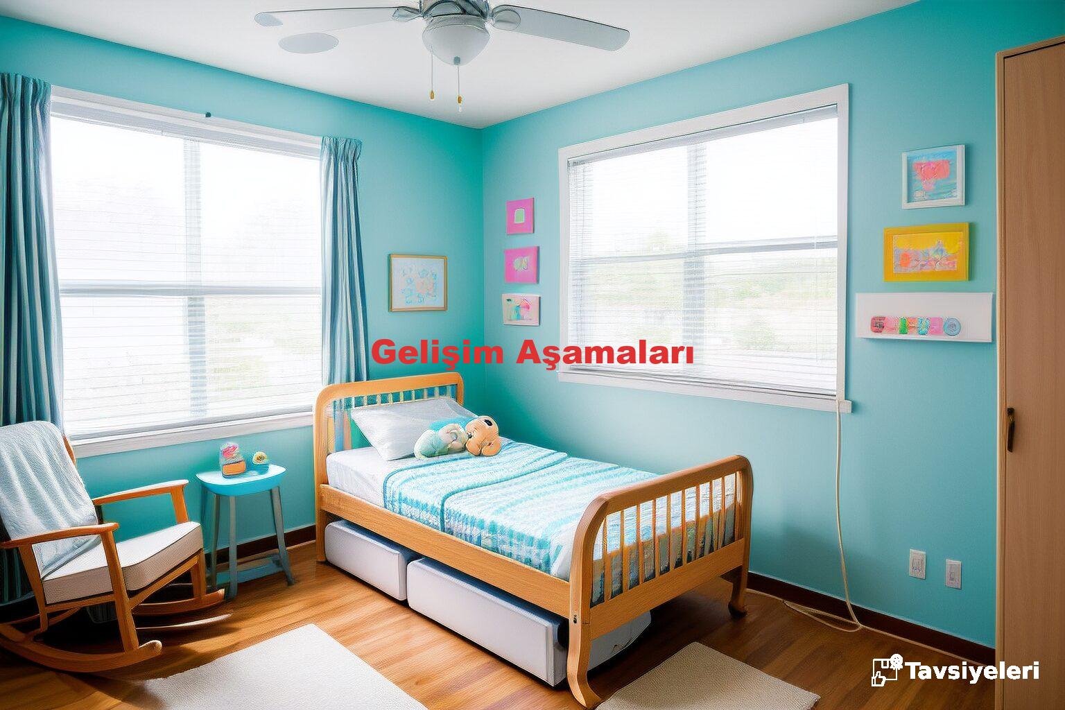 Gelişim Aşamaları