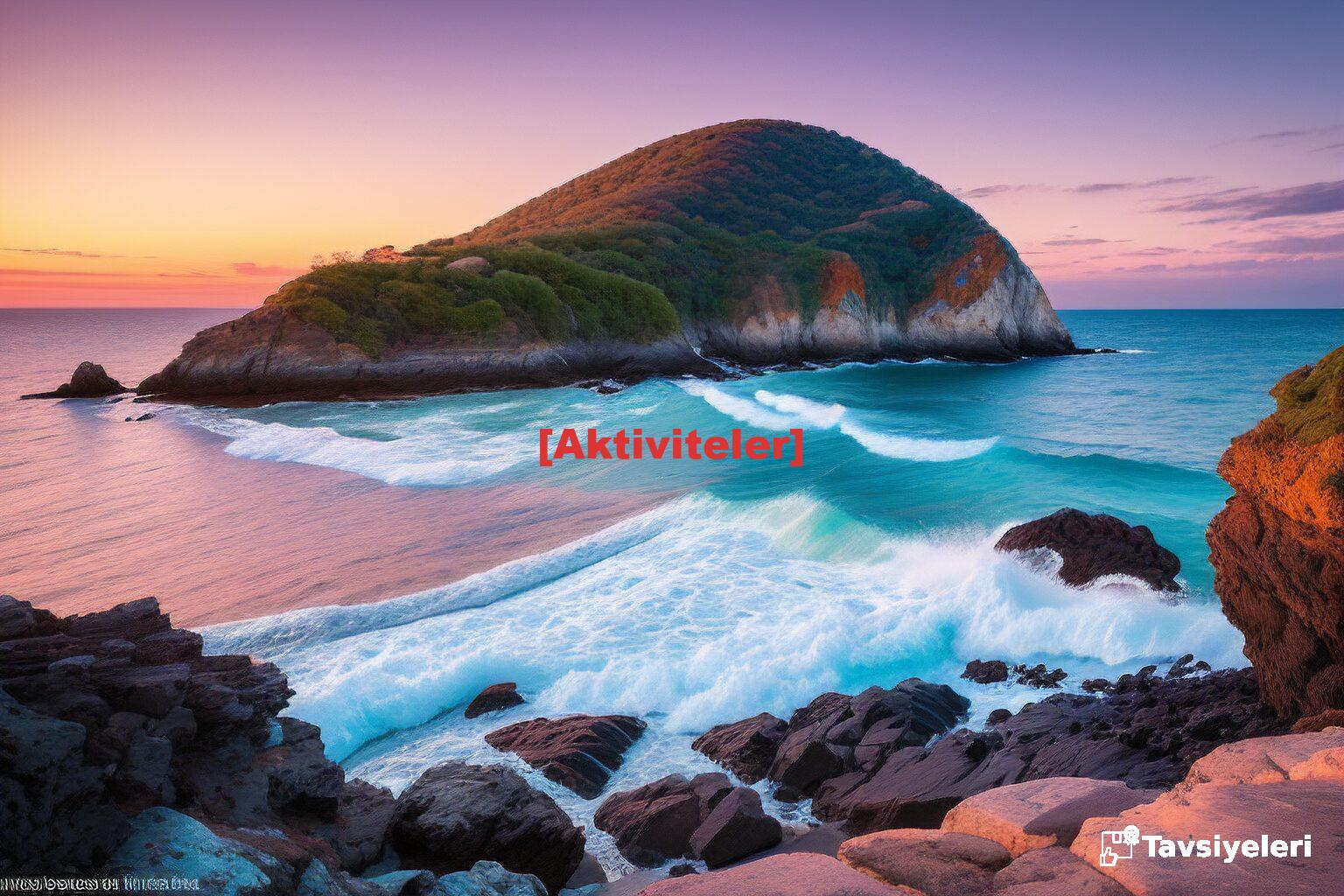 [Aktiviteler]
