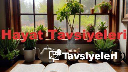 Hayat Tavsiyeleri