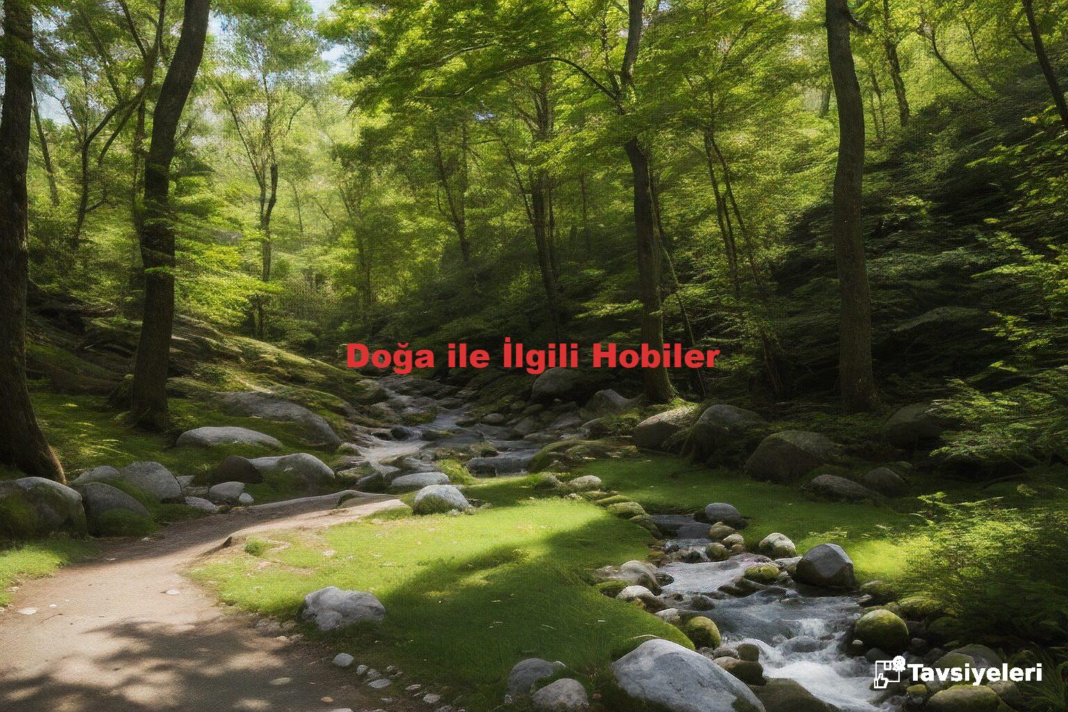 Doğa ile İlgili Hobiler