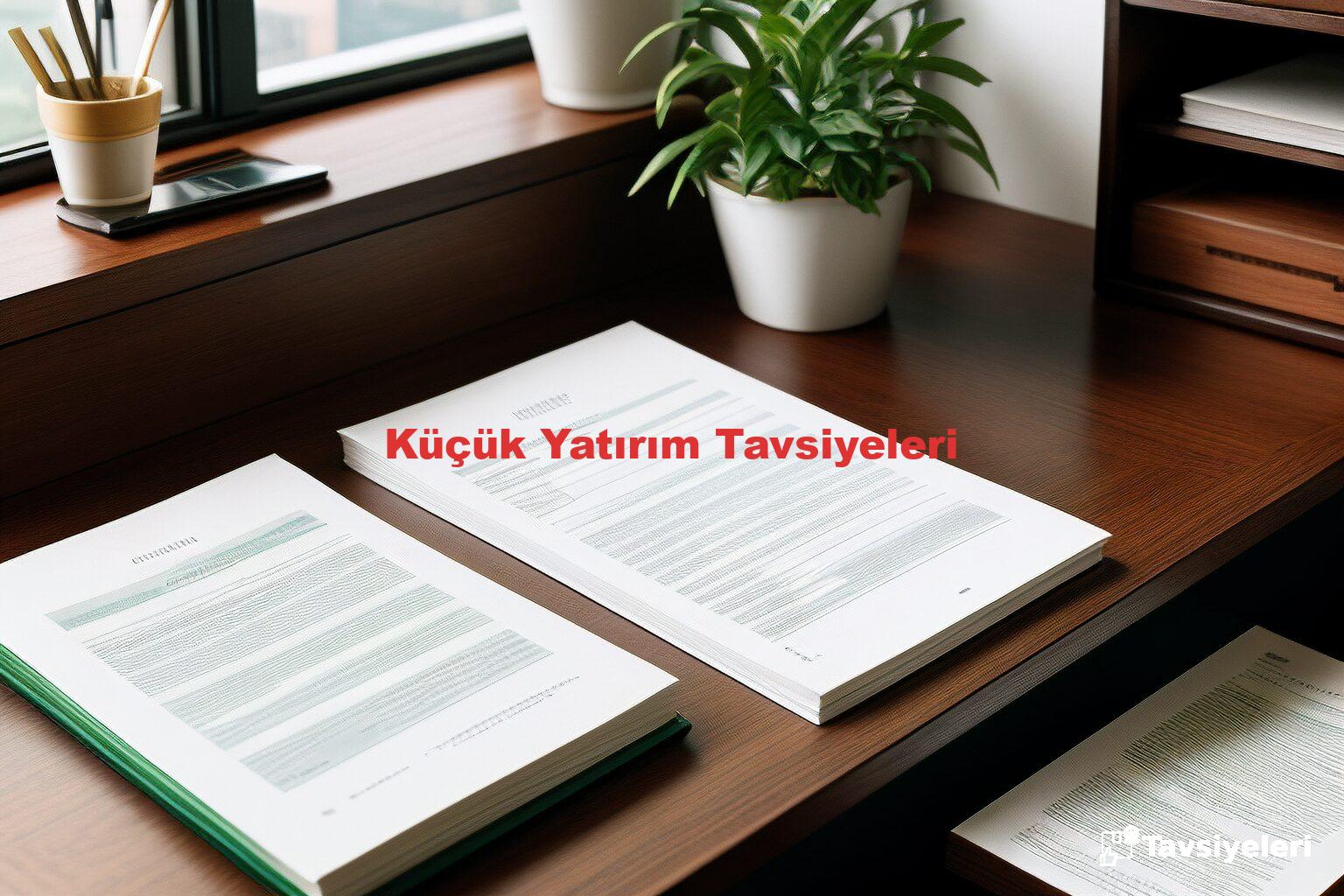 Küçük Yatırım Tavsiyeleri