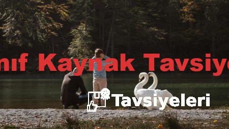 8 Sınıf Kaynak Tavsiyeleri