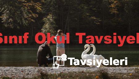 8 Sınıf Okul Tavsiyeleri