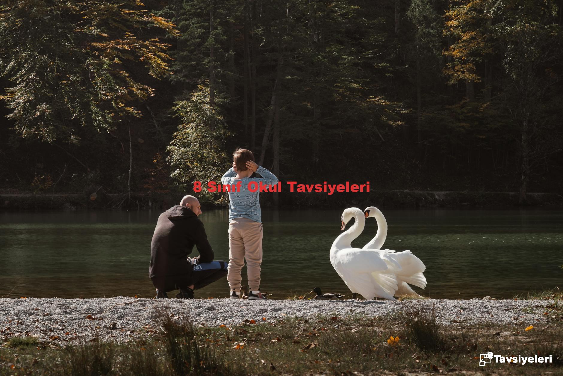 8 Sınıf Okul Tavsiyeleri