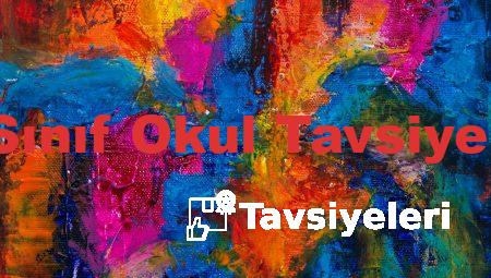 9. Sınıf Okul Tavsiyeleri