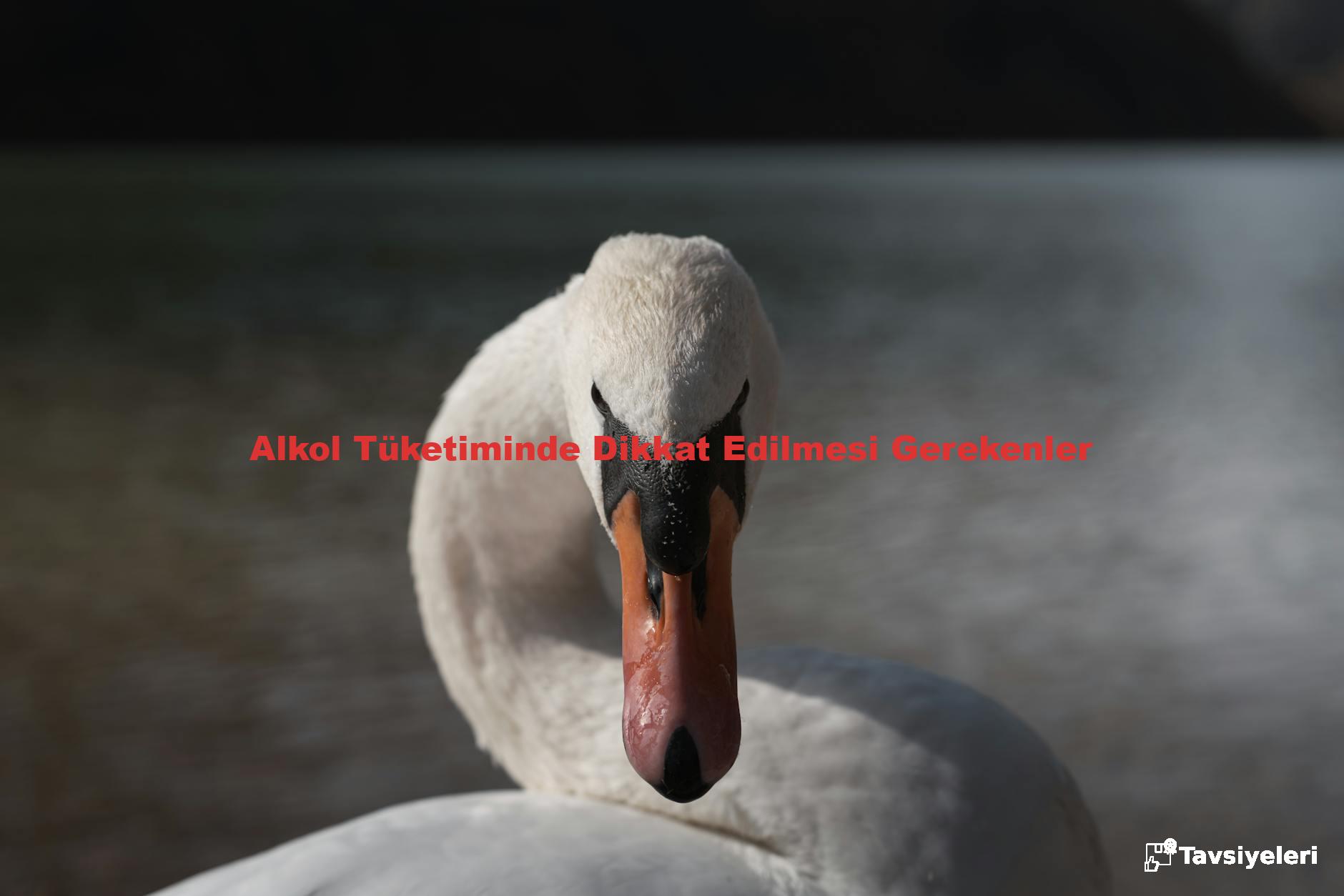 Alkol Tüketiminde Dikkat Edilmesi Gerekenler