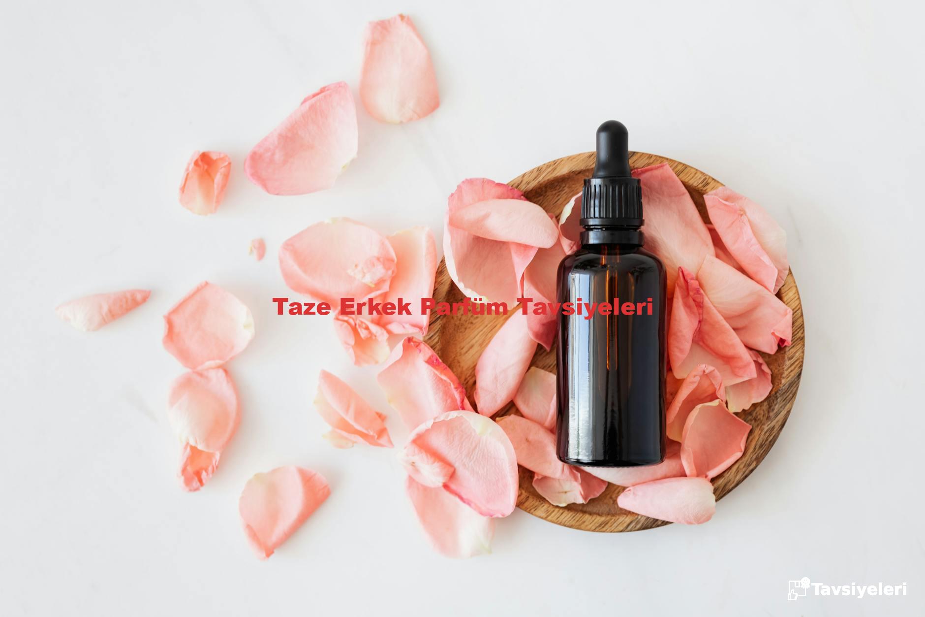 Taze Erkek Parfüm Tavsiyeleri