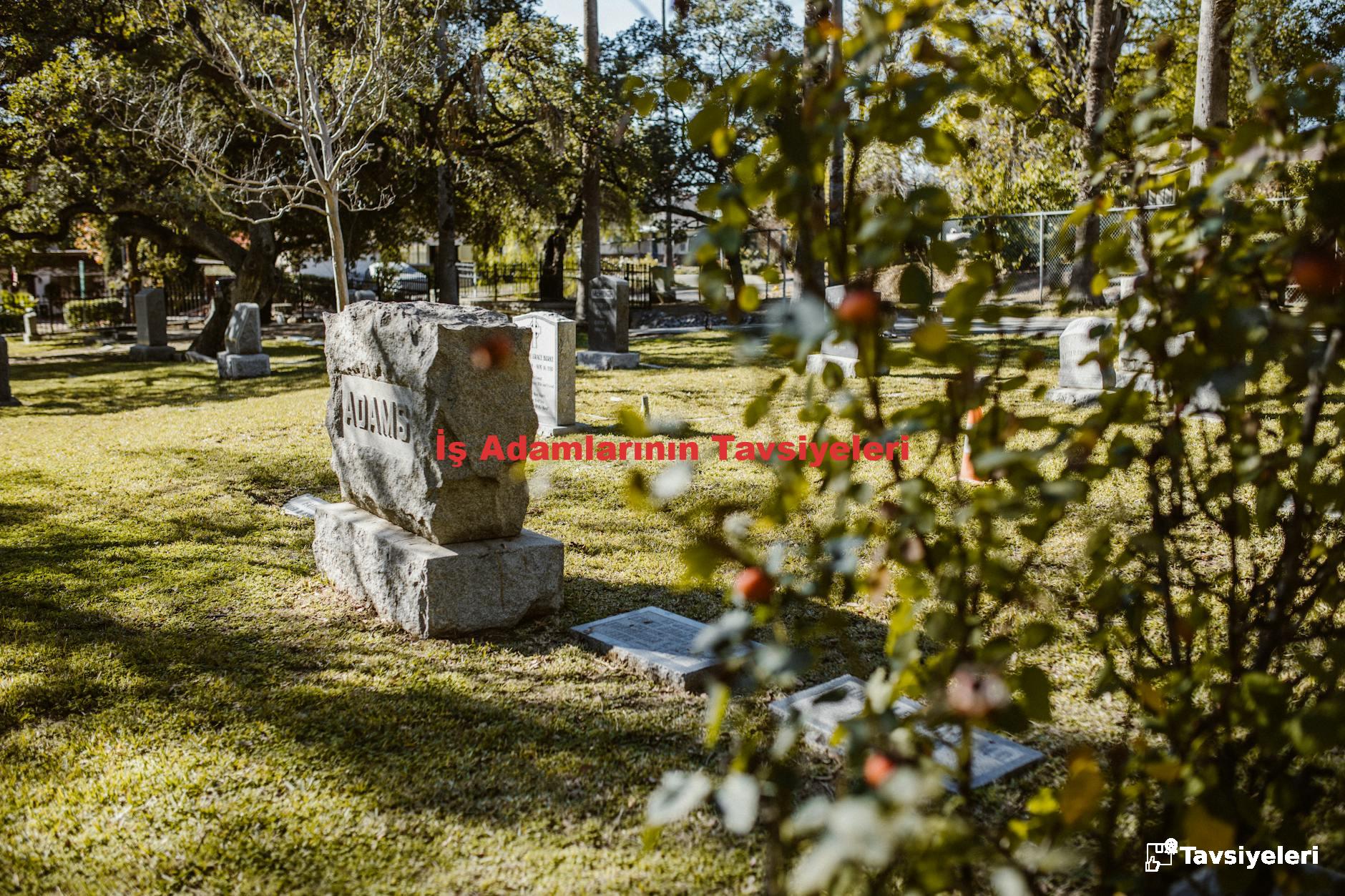 İş Adamlarının Tavsiyeleri
