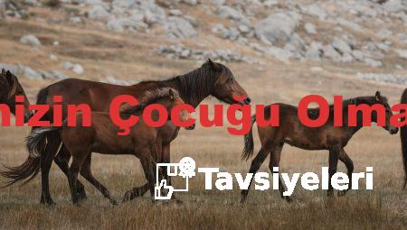 Peygamber Efendimizin Çocuğu Olmayanlara Tavsiyeleri