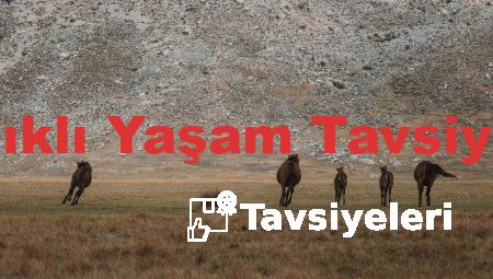 Sağlıklı Yaşam Tavsiyeleri