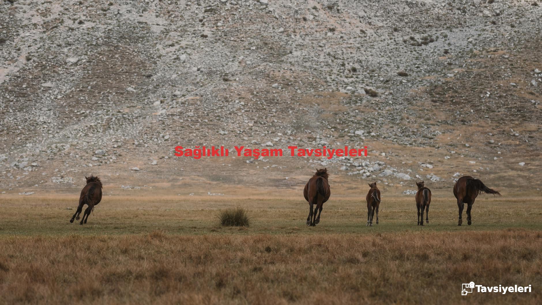 Sağlıklı Yaşam Tavsiyeleri