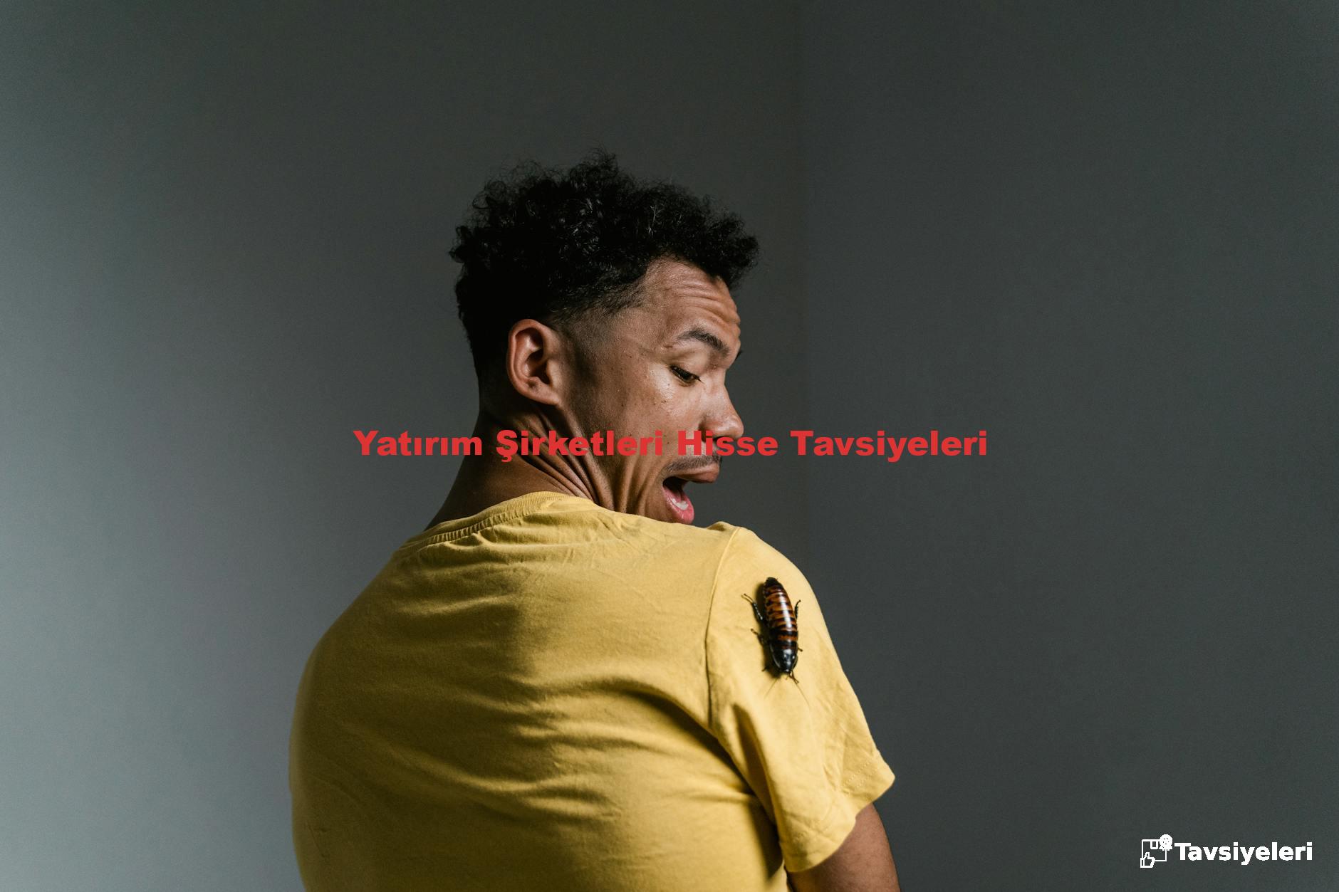 Yatırım Şirketleri Hisse Tavsiyeleri