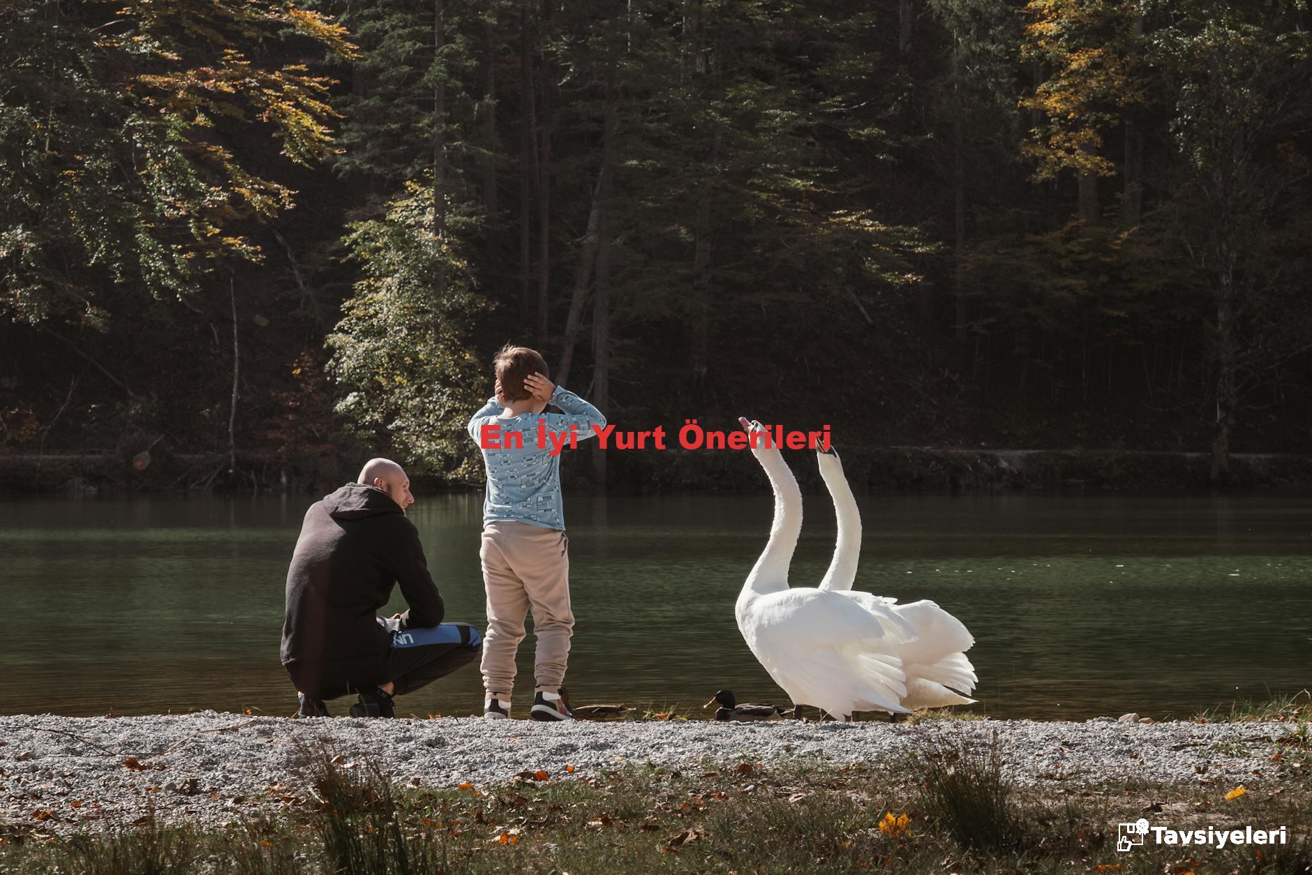 En İyi Yurt Önerileri