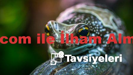 Yazacaklar.com ile İlham Almanın Yolları