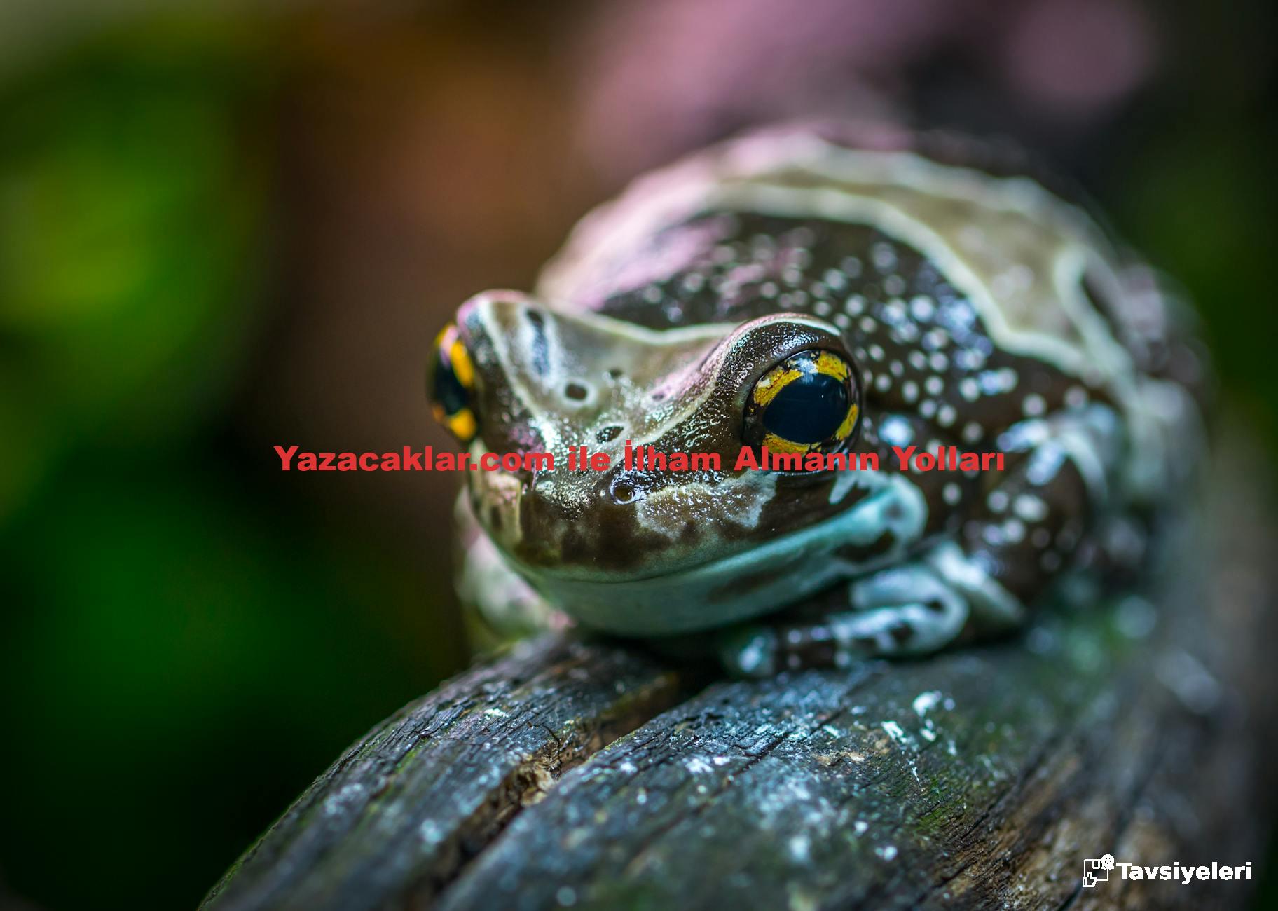 Yazacaklar.com ile İlham Almanın Yolları