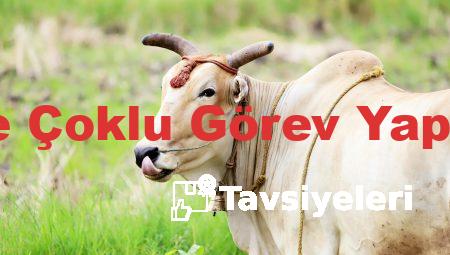Trimonitör ile Çoklu Görev Yapmanın Yolları