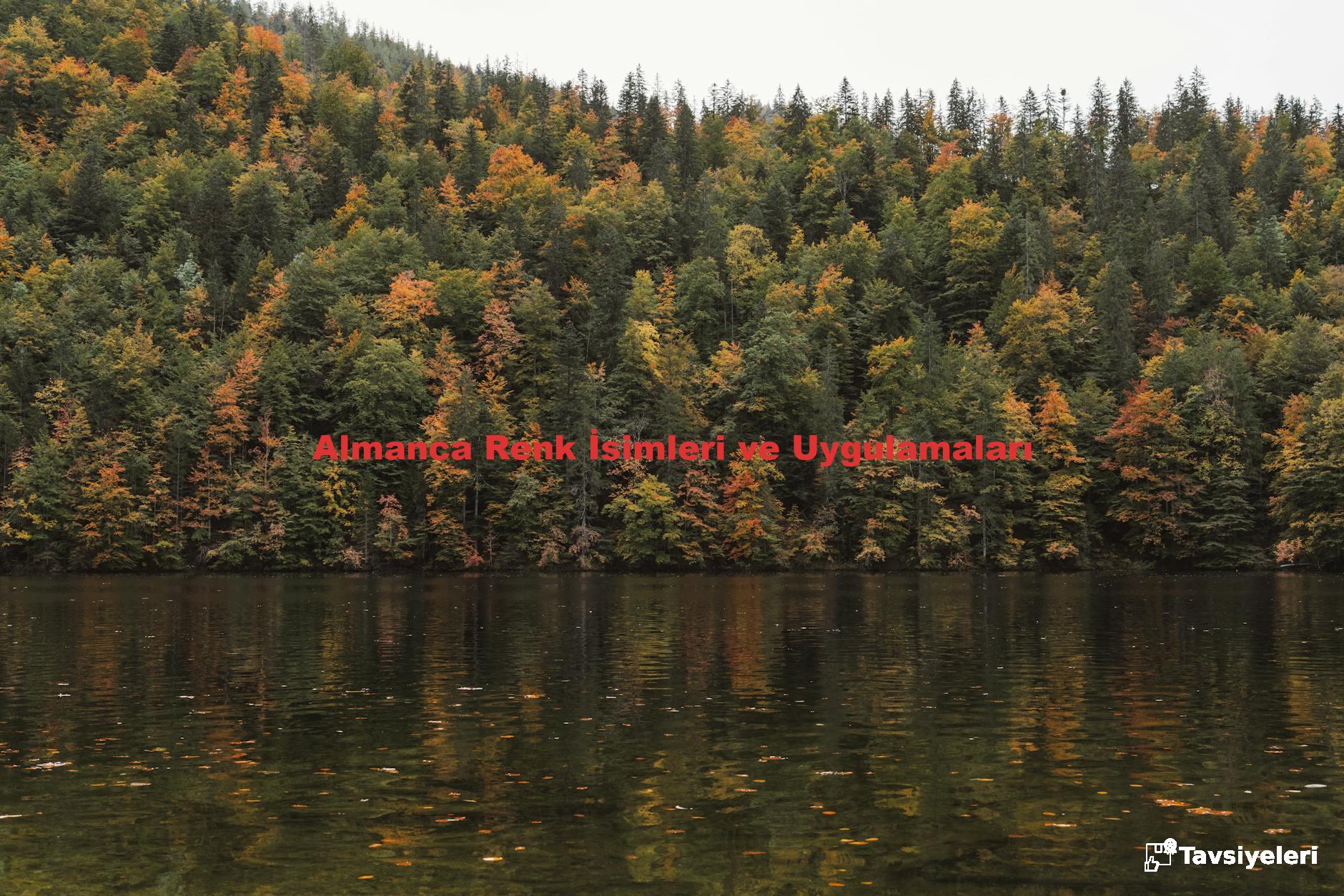Almanca Renk İsimleri ve Uygulamaları