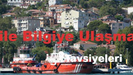 Tavsiye.org.tr ile Bilgiye Ulaşmanın Kolay Yolu