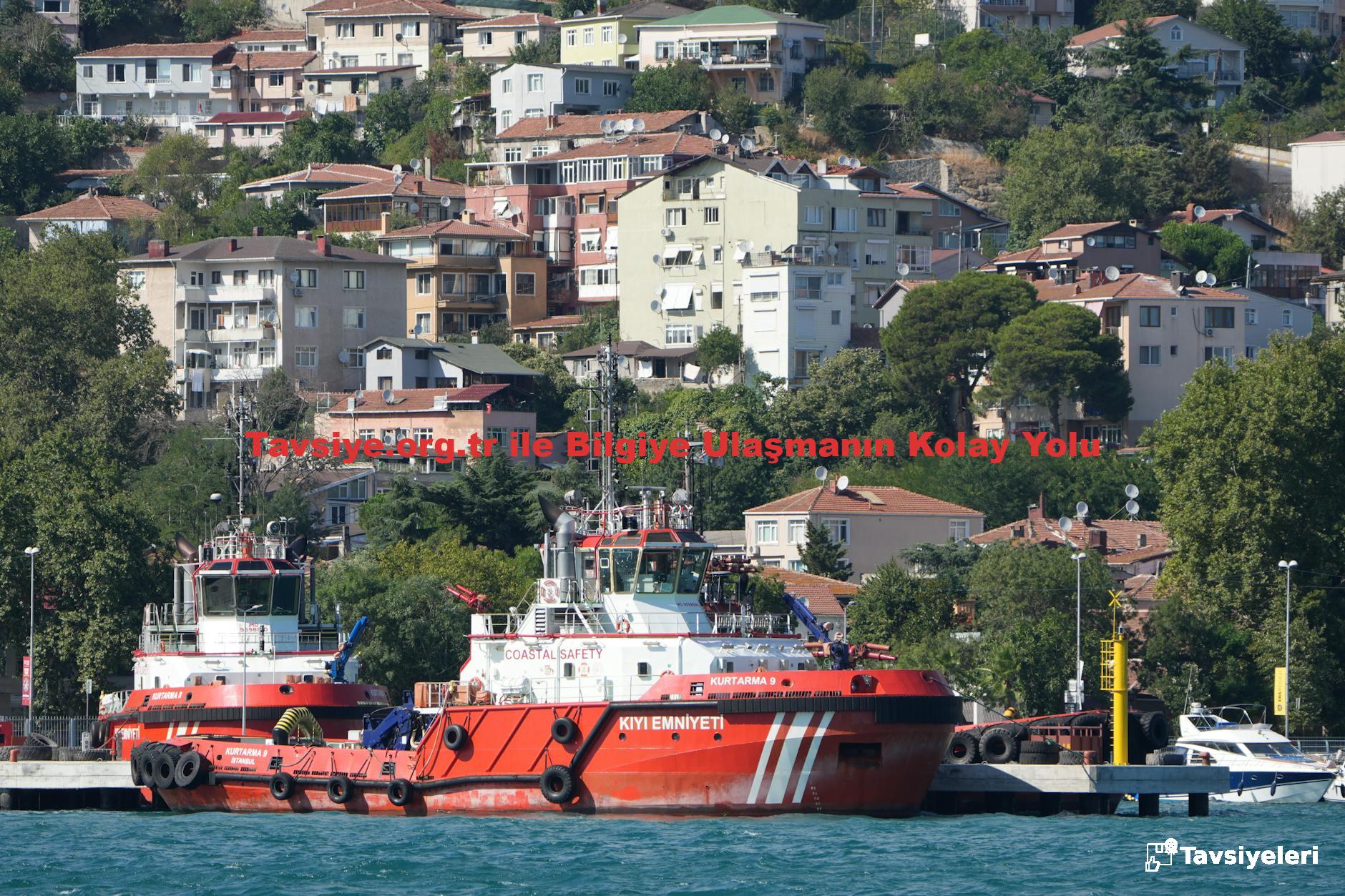 Tavsiye.org.tr ile Bilgiye Ulaşmanın Kolay Yolu