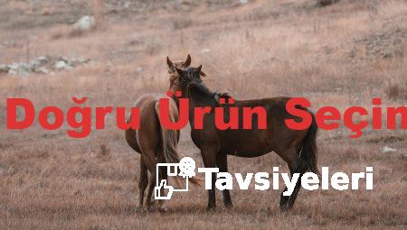 Yağ Bakımında Doğru Ürün Seçimi Nasıl Olmalı?