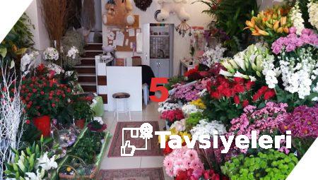 Online Çiçek Siparişinde Floksia Farkı