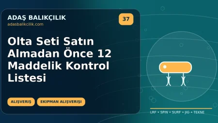 Olta Seti Satın Almadan Önce 12 Maddelik Kontrol Listesi